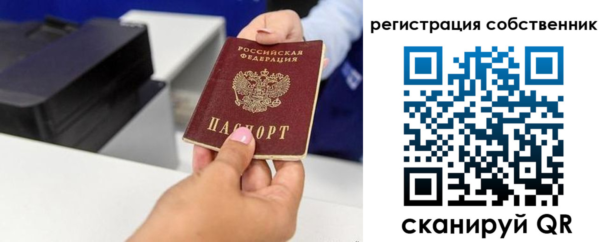 прописка для школы в Могочи